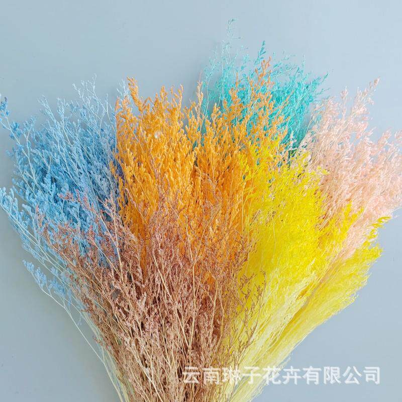 永生情人草干花diy材料白色漂色保鲜花家居插花花束配材节庆装饰