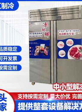 牛羊肉冻品缓化设备全自动鸡肉解冻柜水产家禽类产品转鲜