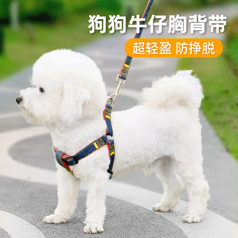 狗狗牵引幼犬宠物泰迪猫牵引绳