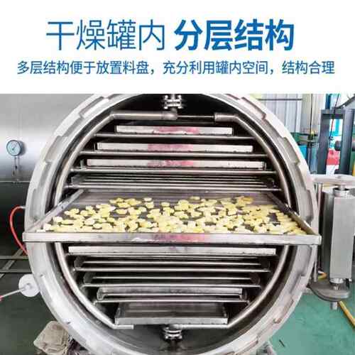 机工2厂直供00品平药品冻干商用 美容冻干粉真空干燥设备 食真空