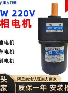 ZD力德交流减速电机马达三相异步电动机调速电机无刷电机