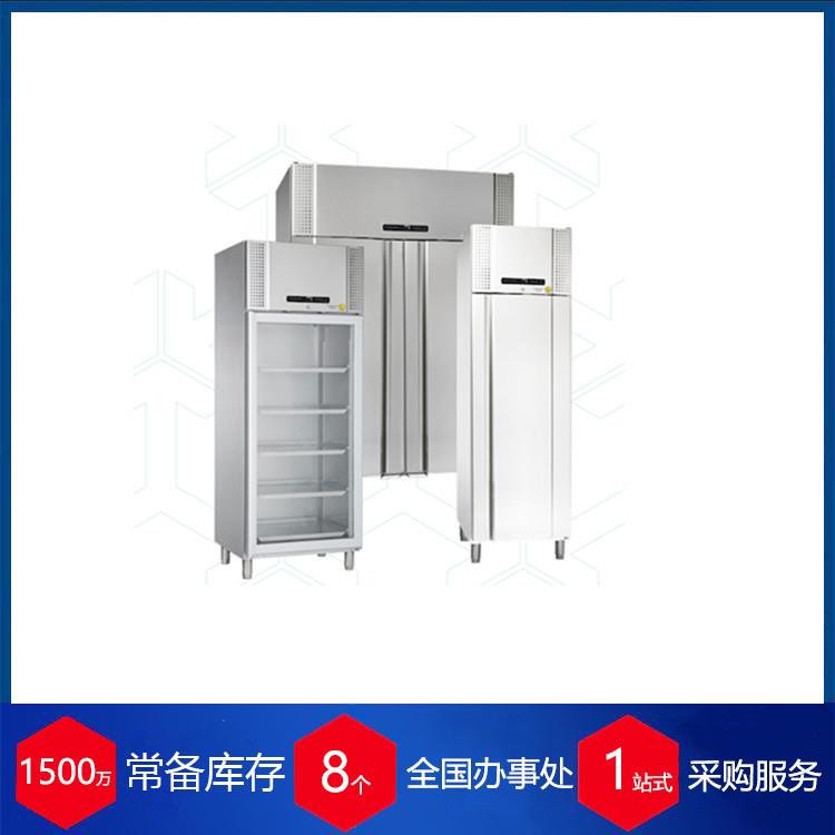 丹麦实验室整体防爆冰箱BioPlusRF500