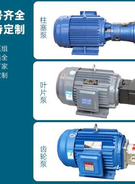 液压油泵电机组柱塞泵组液压泵组总成内轴电机液压站配件系统