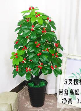 假树植物樱桃树橘子树室内落地盆栽客厅装饰摆设塑料植物盆景