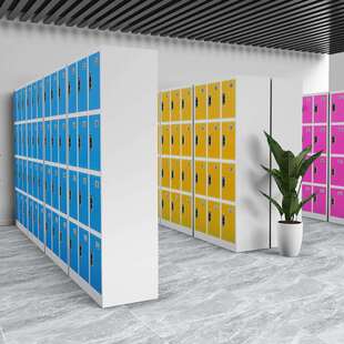 彩色员工更衣柜感应密锁柜存放柜储柜健身房收纳柜铁码 存皮储SB