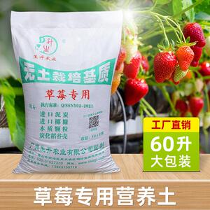 生升农业草莓专用土无土栽培基质 叶菜瓜类育苗营养土60升 种植土