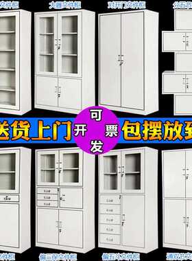 办公文件柜铁柜玻资料档案柜财务凭证柜皮抽璃屉柜书柜带锁储JAL