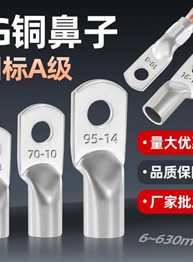 JG铜接线 线端子国标线 线鼻10/16/25/35/50/70/95平方船用镀锡线