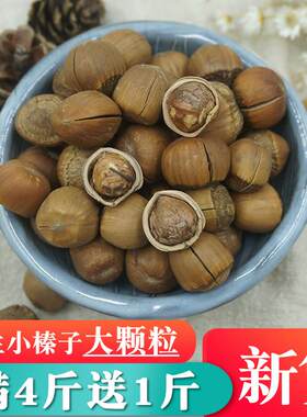 新疆包邮野生熟小榛子新货薄皮铁岭手拍水漏榛子东北特产坚果零食