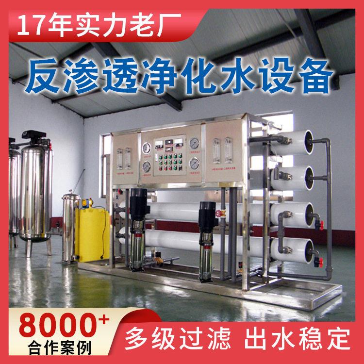 反渗透净化水设备 水电站纯净水设备 6吨级反渗透设备