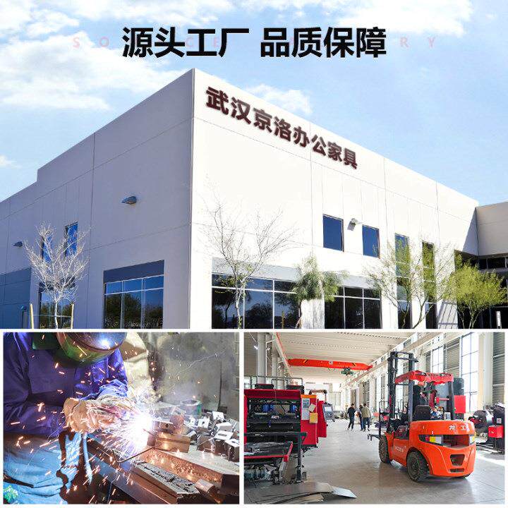 文件柜钢制料资纳柜办收公室财凭证柜铁皮柜jl-6533档务案落地储