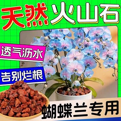 火山石蝴蝶兰专用颗粒营养土养花盆栽多肉透气排水防烂根底砂铺面