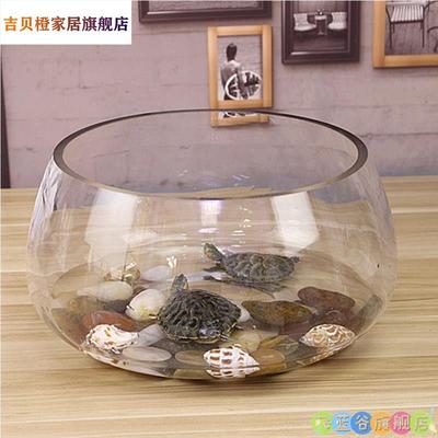 加厚钢化小型乌龟好看防割手卧室鱼缸大号圆形生态玻璃养乌龟专用