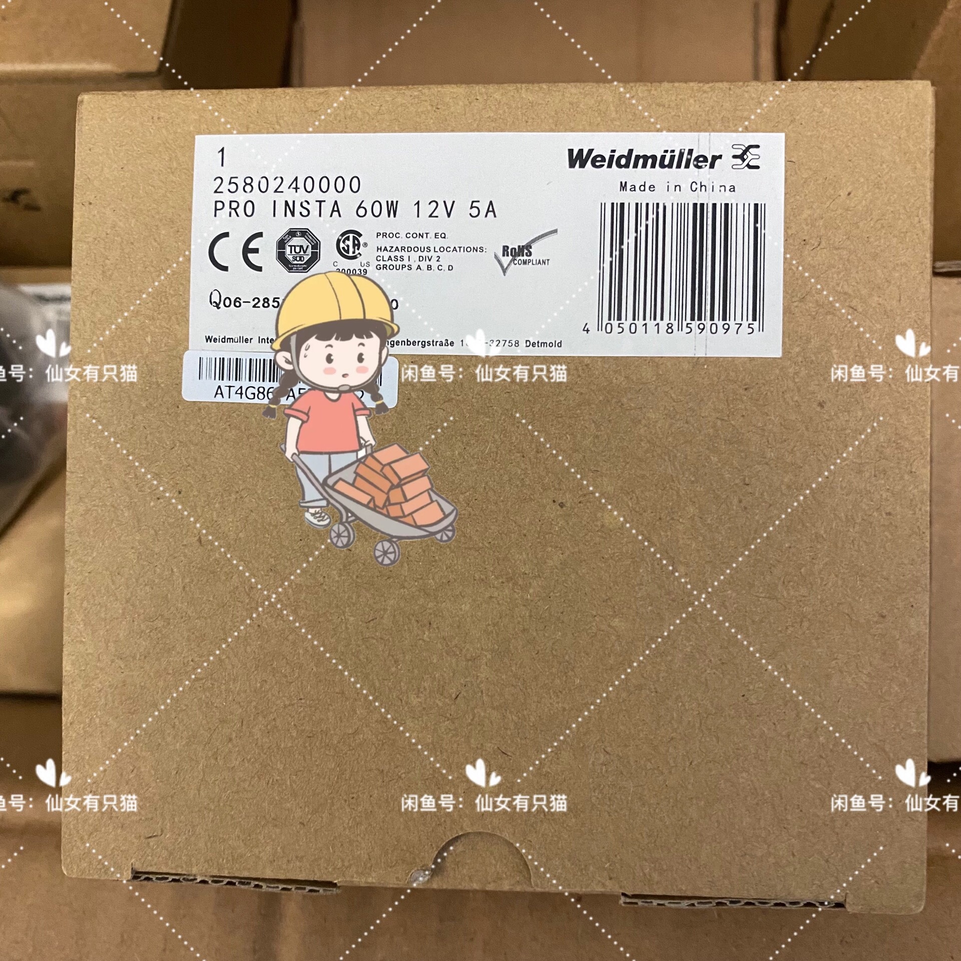 2580240000 PRO INSTA 60W 12V 5