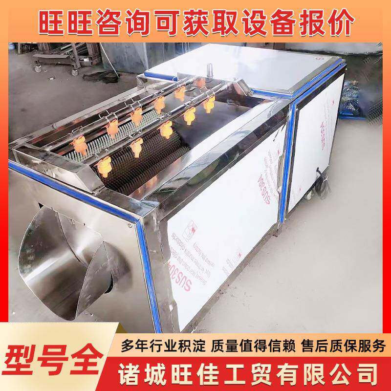 不锈钢芋头马蹄莲藕清洗去皮机全自动毛辊生姜土豆山药去皮清洗机