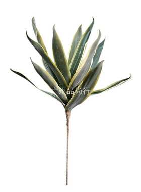 EVA龙舌兰 虎皮兰热带植物复古泡沫花仿真绿植仿真花家居软装花材