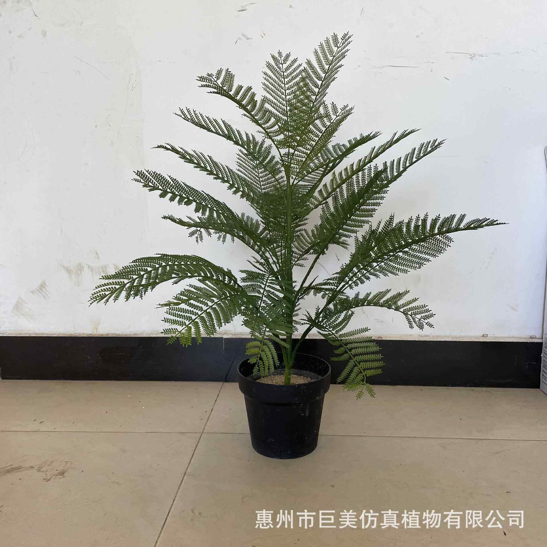 仿真jm230103蓝花楹植室内装饰造景摆件仿绿真仿生假植树物假工厂