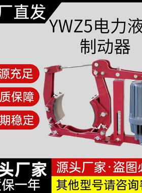 YWZ9-YWZ5焦作电力液压制动器YWZ9-YWZ5-200/E23抱闸煞车通用国标
