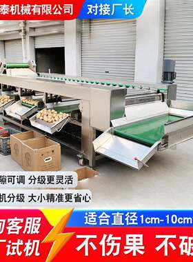 苹果滚杠分选机冰糖橙分大小选果机商用红薯洋葱柠檬大小分级机
