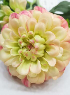 清明花具菊花绢装按箱发货布5头万菊仿真花家寿居饰摆件拍照道人