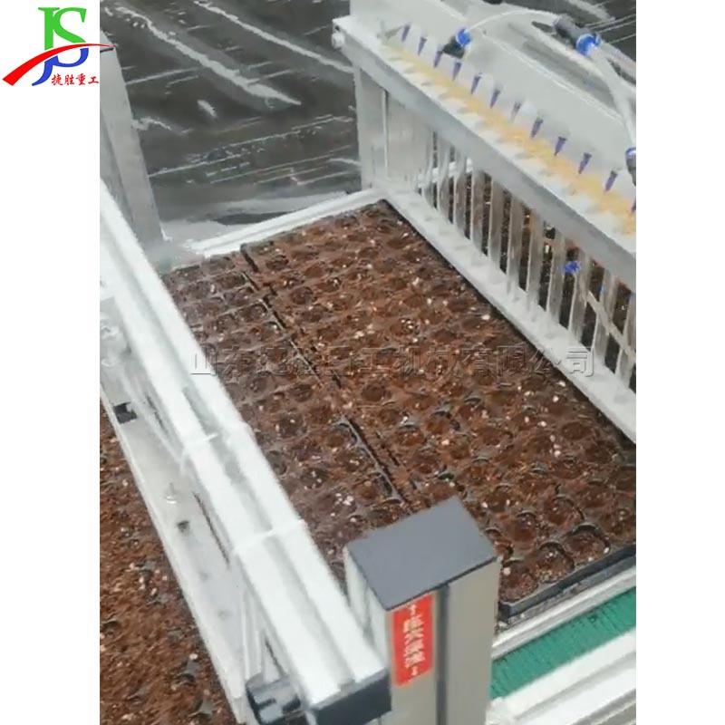 海绵盘水培蔬菜育苗自动播种机 针吸式种子穴播机 半自动育苗机