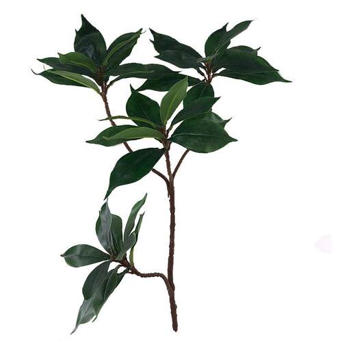 仿真绿植厚皮香叶红花油茶叶杨树枇杷叶瑞香树茶园林装饰摆设