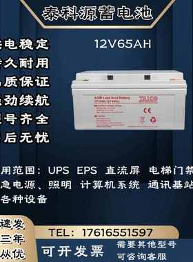 TAICO泰科源蓄电池FM/TP 12V65AH 直流屏 消防通讯 UPS电源主机