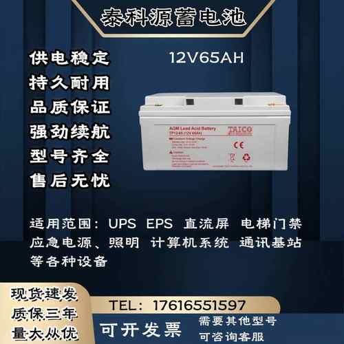 TAICO泰科源蓄电池FM/TP 12V65AH 直流屏 消防通讯 UPS电源主机