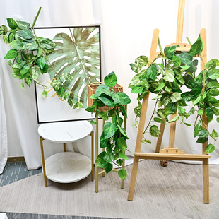 插仿真绿萝壁挂北欧家居装 花商橱 饰摄影绿窗植客场厅叶子YTN软装