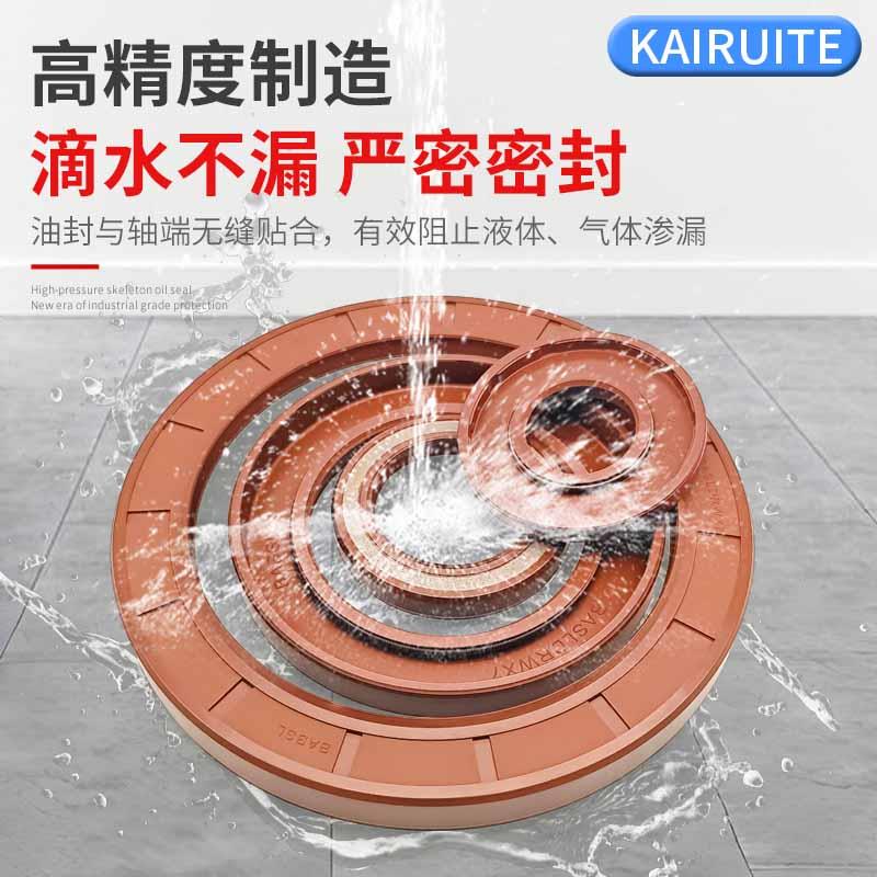 BABSL/TCVN耐高压高温氟
