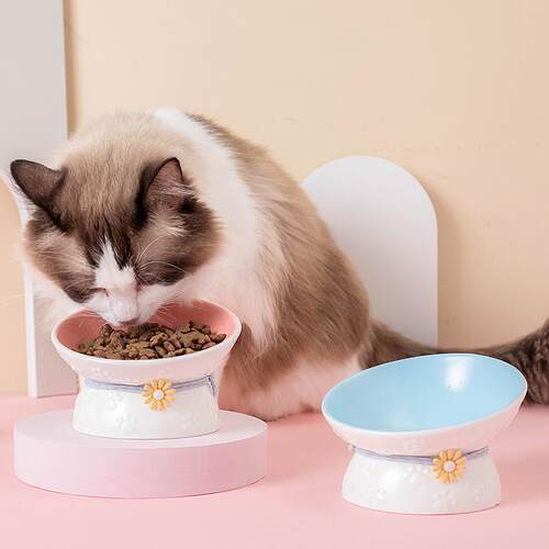 猫碗陶瓷碗单碗防打翻架子护颈宠物用品食盆吃饭斜口碗扁脸猫咪碗
