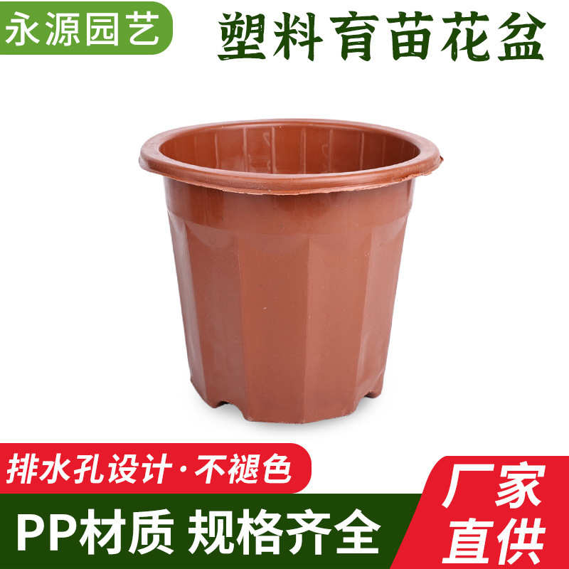塑料胶花盆加厚耐用一次性种花育苗盆特大号小号植花盆厂家直销