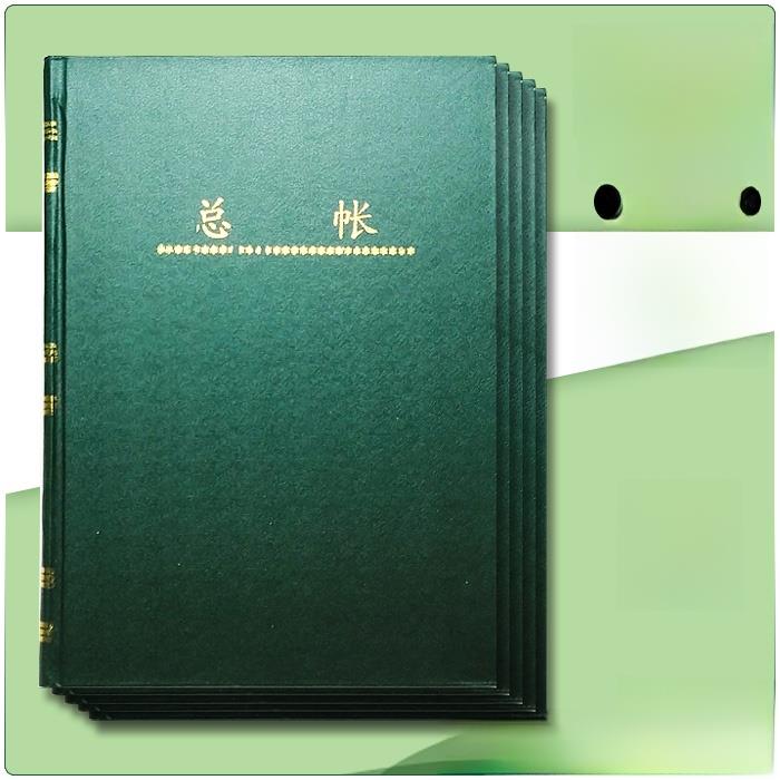 财务会计分类账明细分类账总账银行日记账储存分类账100张纸200套