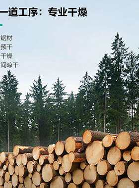 松木桩杉木桩河道打桩木圆木工程木桩原木水杉松树木桩尖头杉木杆