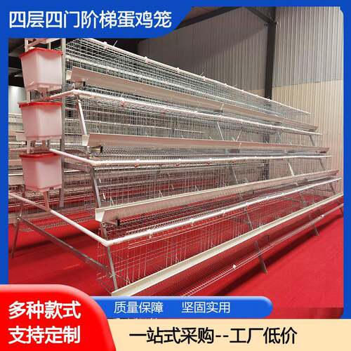 阶梯式蛋鸡笼全自动鸡笼捡蛋清粪喂食喂水养殖设备鸡鹌鹑鸽子笼