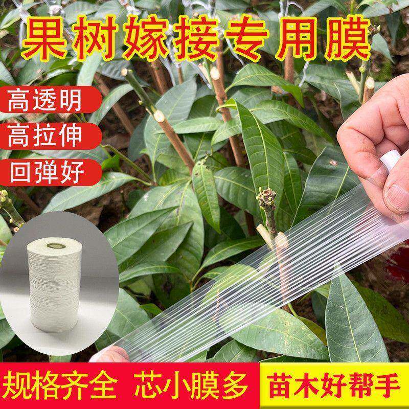 薄膜免拆农用绑带嫁接薄膜果树非打结果树糯米纸进口