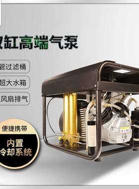 TUXING潜水呼吸款电动打气机30mpa双缸充气泵4500psi自动关机