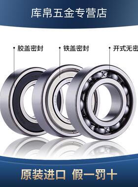 日本进口NSK6212 6213 6214 6215 6216 6217 ZZ DDU VV C3 NR轴承