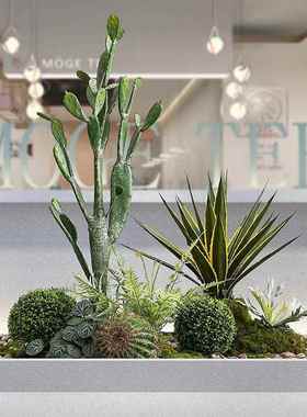 仿真植物景观仙内人假掌造景组合室楼61596梯下装饰绿植盆摆景落