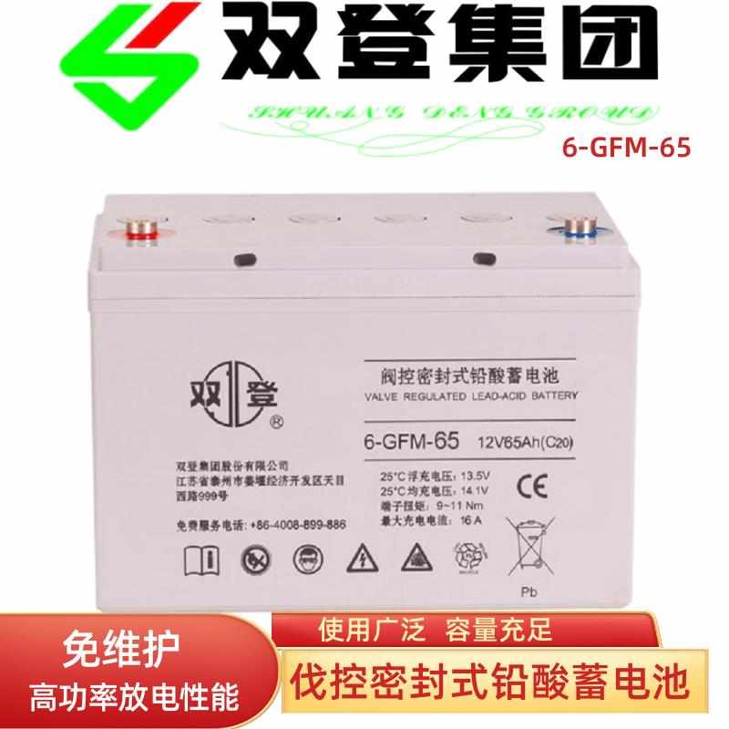 双登铅酸蓄电池6-GFM-100 12V100AH24AH38AH65AH120AH直流屏UPS