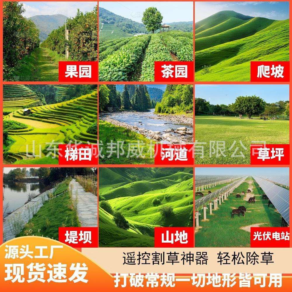 口小型电遥控割款草机遥控家出用草坪KEI除草机碎动草机迷你智能