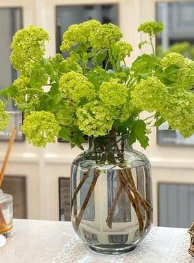 北欧风格冷灰色玻璃花瓶透明简约创意水培花瓶摆件客厅餐桌插花瓶