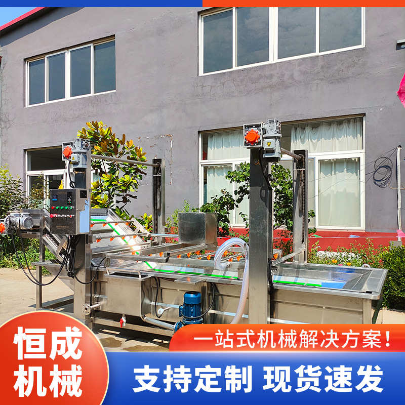 高压喷淋式果蔬气泡清洗机 农作物海带清洗设备 红枣圣女果洗果机