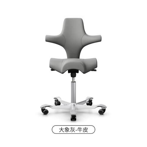 正品挪进口HA威G Capisco马椅真皮款人体工学电脑公椅 羊毛软包办