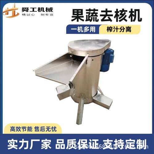 大型去果核机吨级水果粉碎去核机红枣冬桃李子快速脱核器