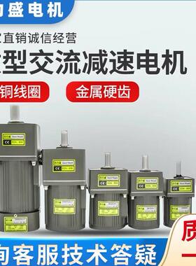 6W15W25W40W60W120W180W200W250W300W400W齿轮调定减速变频电机