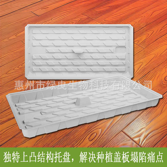 多孔水培箱种植箱无土栽培阳台种菜玉米茶苗水稻小麦苗培育箱定制,鲜花速递/花卉仿真/绿植园艺,花盆,淘宝优惠券,粉丝福利购,淘宝优惠卷