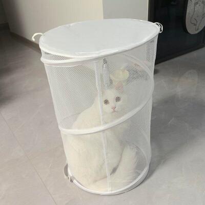 猫咪烘干袋可折叠不占空防抓伤防咬神器宠物洗澡烘干箱小型犬幼猫