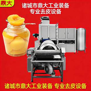水蜜桃蒸汽去皮机不锈钢物理无损去皮桃头果脯果酱果蔬深加工