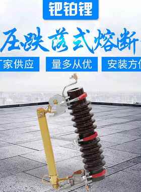 供应RW10-10F/100A高压跌落式熔断器10KV高压熔断器